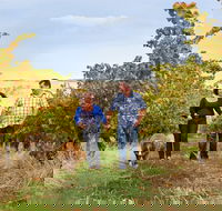 WayWood Wines - Hobart Tourism