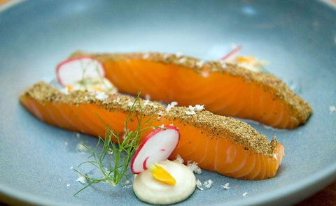 Seed Winehouse + Kitchen - Hobart Tourism 9