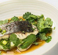 The Mossy Cafe - Hobart Tourism