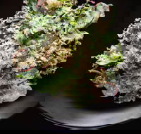 Arthur Waterhouse Lounge - Tourism TAS