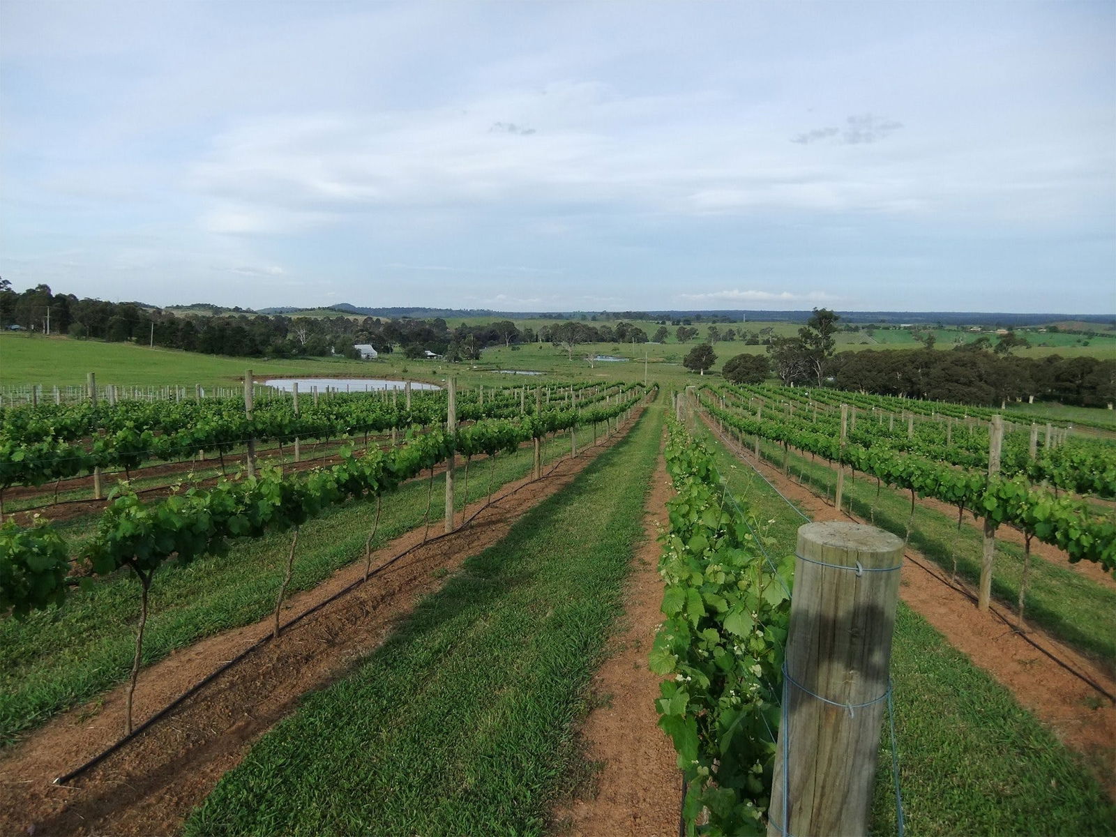 Menangle NSW Tourism TAS