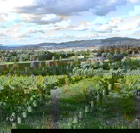 Sassy Wines - Hobart Tourism