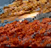 Spice Blast - Hobart Tourism