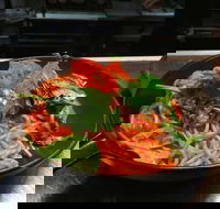 The Surf Club Palm Cove - Tourism TAS