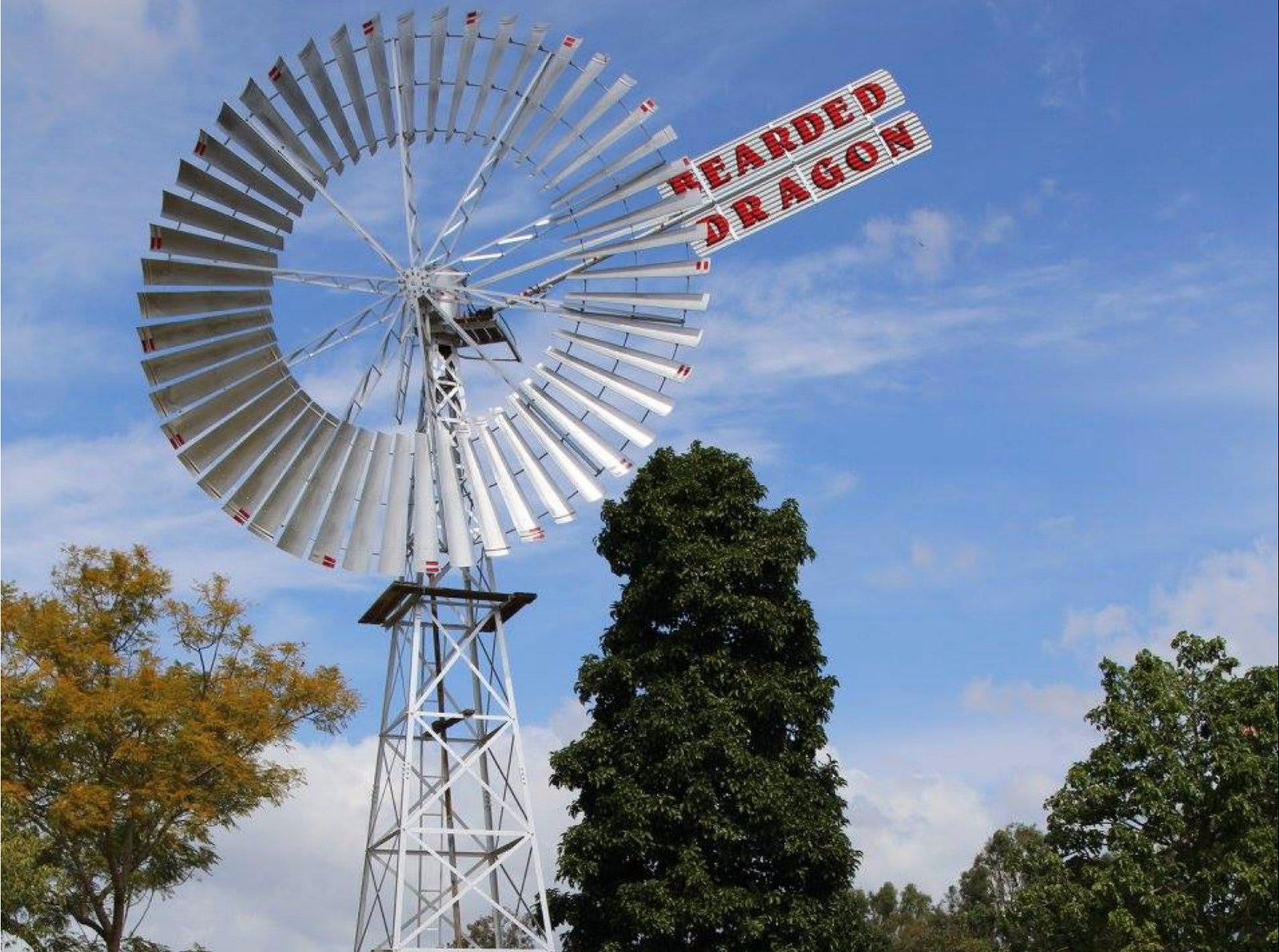 Tamborine QLD Tourism TAS