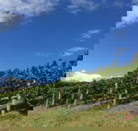 Freycinet Vineyard - Hobart Tourism