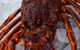 Lobster Shack Tasmania - thumb 0