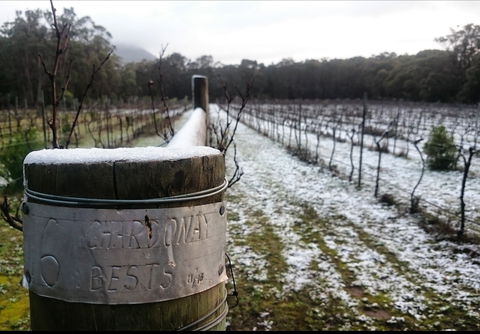 Mount Buninyong Winery - Tourism TAS 1