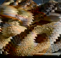 NYC Bagel Deli  Cafe - West End - Hobart Tourism