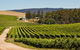 Pipers Brook Vineyard - thumb 1