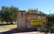 Bonina Olive Grove - thumb 1