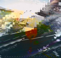 Dandys Rooftop Bar - Hobart Tourism