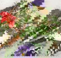 Just Earth - Hobart Tourism