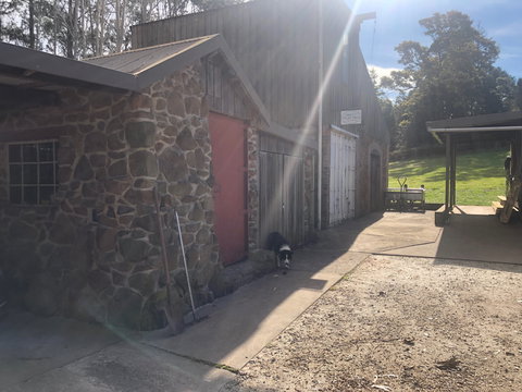 Wilmot Hills Orchard & Distillery - Tourism TAS 1