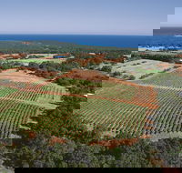 Wise Wine - Hobart Tourism