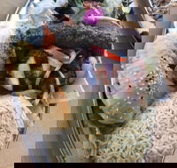 Arabella's Charcoal - Hobart Tourism