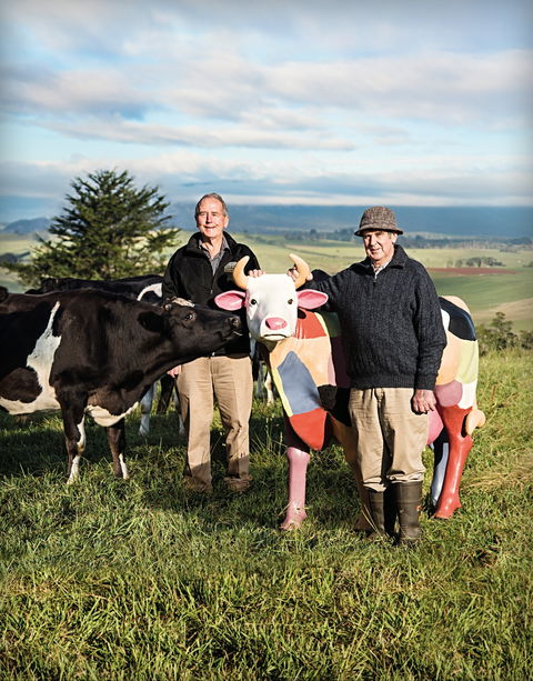Ashgrove Farm Cheese - Hobart Tourism 1