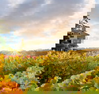 Hahndorf Hill Winery