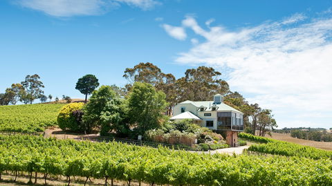 Hahndorf Hill Winery - Hobart Tourism 1