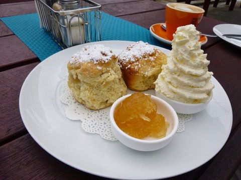 Mogo Pies - Tourism TAS 1