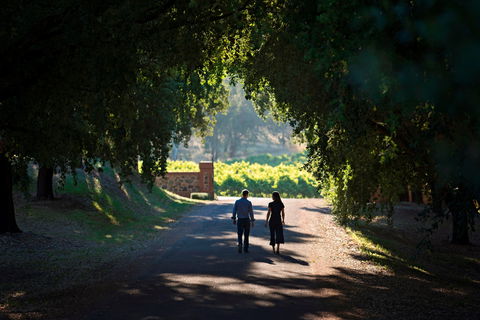 St Hugo - Hobart Tourism 1