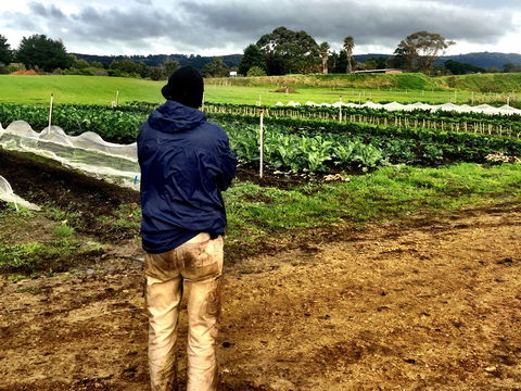 Torello Farm - Hobart Tourism 2