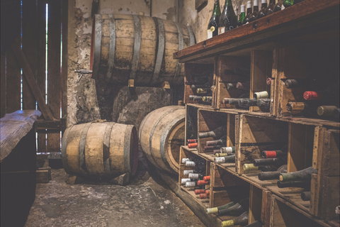 Brand's Laira Of Coonawarra - Tourism TAS 1