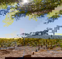 Hayes Family Wines - Hobart Tourism