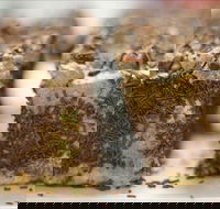 Kafenio - Tourism TAS