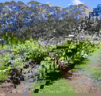 Woongooroo Estate Winery - Hobart Tourism