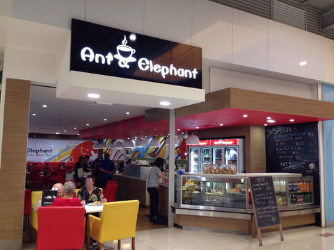 Ant & Elephant - Tourism TAS 0