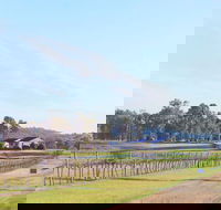 Blacklea Vineyard and Olive Grove - Hobart Tourism