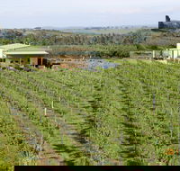 Dindima Wines - Tourism TAS