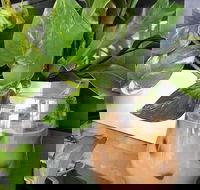 Ground Stone Cafe - Hobart Tourism