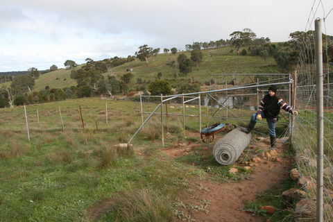 Hahndorf Venison - Hobart Tourism 1