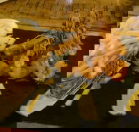 Jack and Shanan's - Tourism TAS