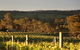 Max & Me Wine Tasting @ Eden Valley Hotel - thumb 1