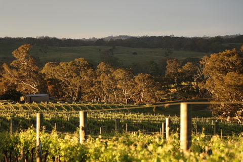 Max & Me Wine Tasting @ Eden Valley Hotel - Hobart Tourism 1