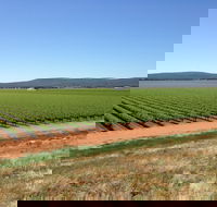 Melange Wines - Hobart Tourism