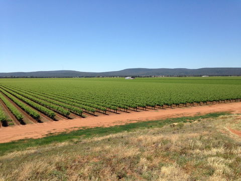 Melange Wines - Tourism TAS 0