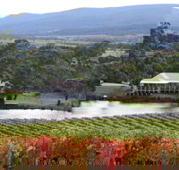Milton Vineyard - Hobart Tourism