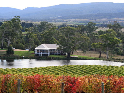 Milton Vineyard - Tourism TAS 0