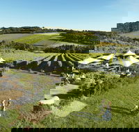 Montalto - Hobart Tourism