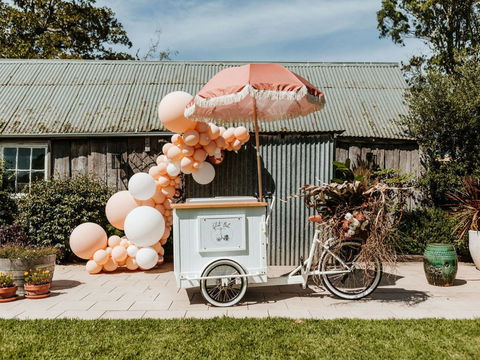 The Gelato Bike - Hobart Tourism 1