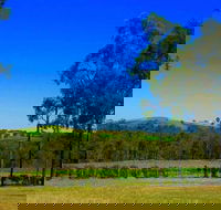 Degen Wines - Hobart Tourism