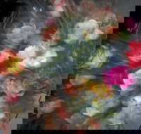 Ink Cafe - Tourism TAS