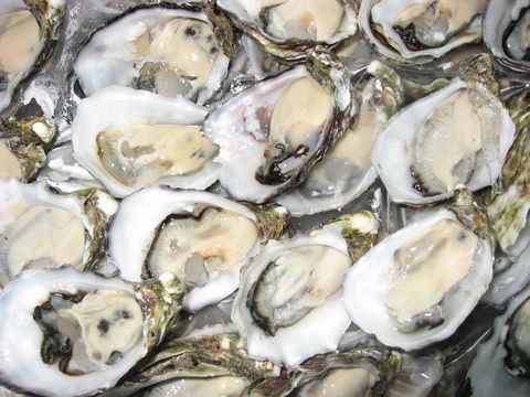Grunske's By The River Seafood Market And Restaurant - Hobart Tourism 1