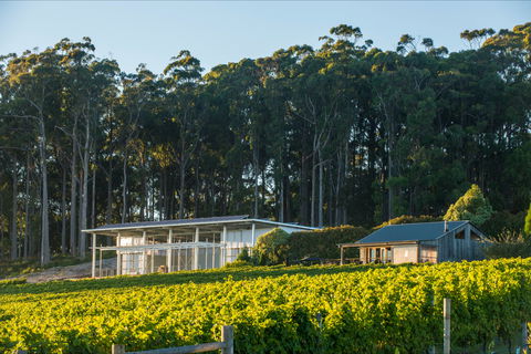 Moores Hill Estate - Tourism TAS 0