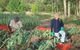 Sweet Water Farm - thumb 0