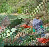Sweet Water Farm - Hobart Tourism